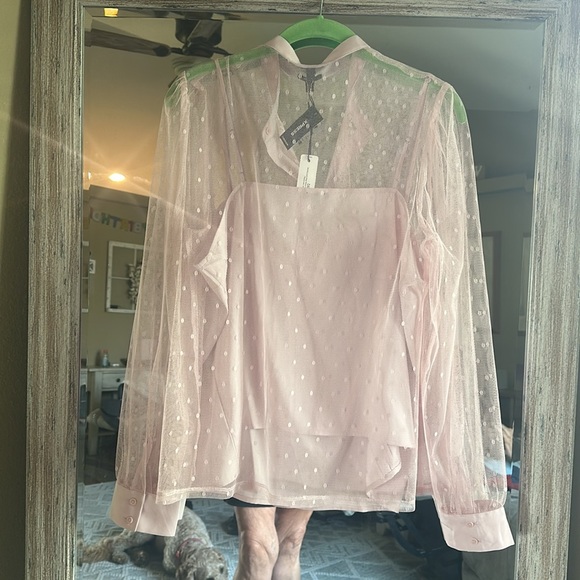 Express New with tags pink sheer Blouse with cami. Size large - Picture 2 of 2